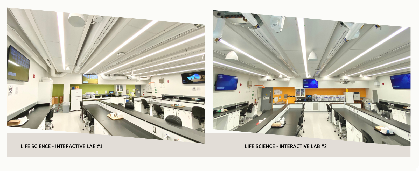 YorkU Lab